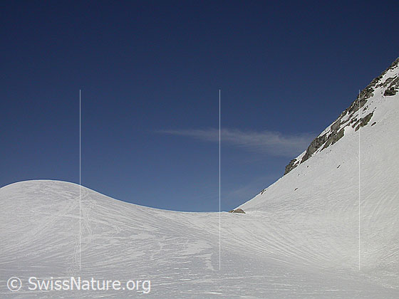 Foto: Sattel beim Schwarzsee.
