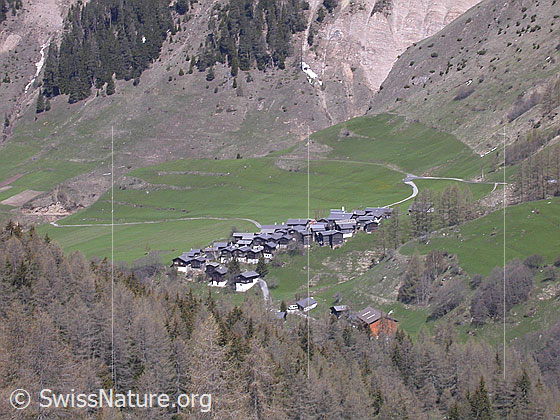 Foto: Imfeld