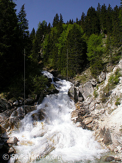 Foto: Mässerbach oberhalb Grube Lengenbach
