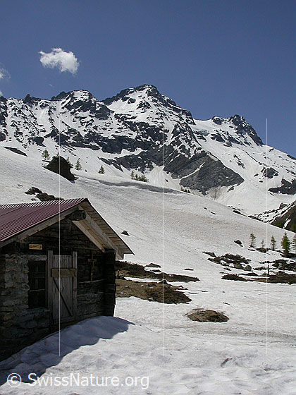 Foto: Alphütte beim Mässersee. Im Hintergrund das Schwarzhorn.