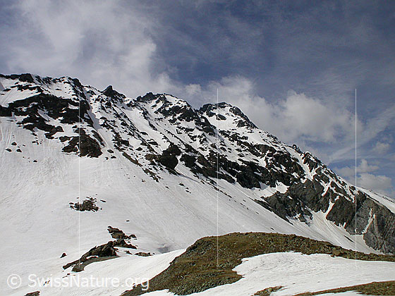 Foto: Blick von Zantmärjelebiel zum Schwarzhorn.
