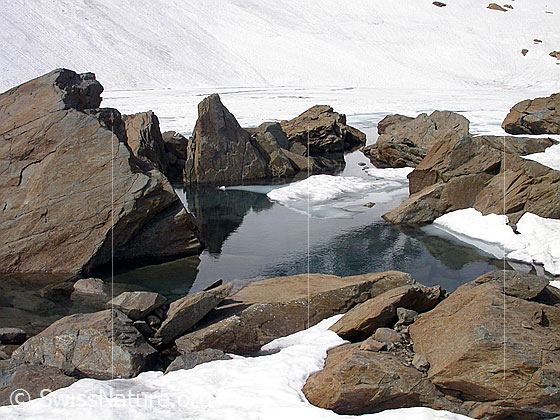 Foto: Zantmärjelesee: Aufgefrorener Uferbereich, welcher von rötlichen Felsblöcken umgeben ist. Im Hintergund der zugefrorene Teil des Sees.