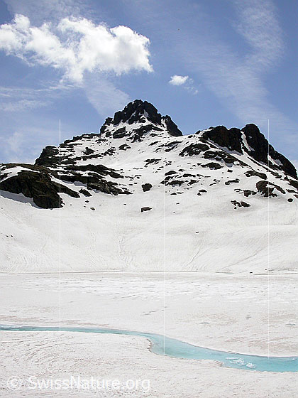 Foto: Geisspfadsee: Hellblauer Wasserstreifen im Uferbereich. Im Hintergrund das Grampielhorn.