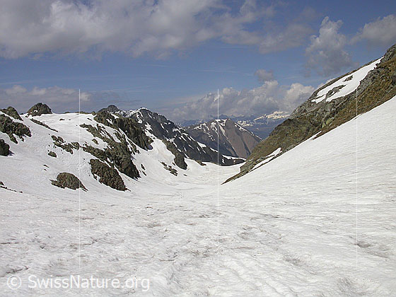 Foto: Blick in das Tälchen vor dem Geisspfadsee. Das Tal ist noch zu vollständig mit Schnee bedeckt.