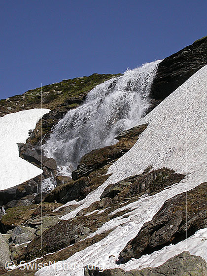Foto: Wasserfall zwischen Balme und Blatt.