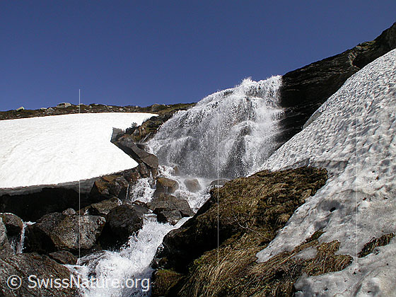 Foto: Wasserfall zwischen Balme und Blatt.