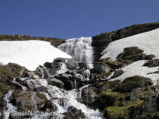 Foto: Wasserfall zwischen Balme und Blatt.