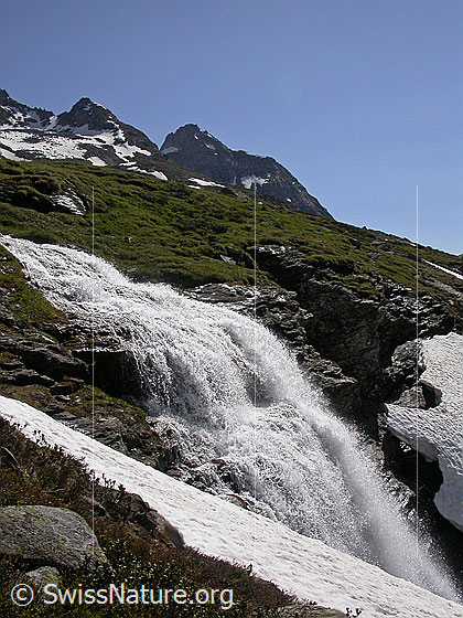 Foto: Wasserfall zwischen Balme und Blatt.