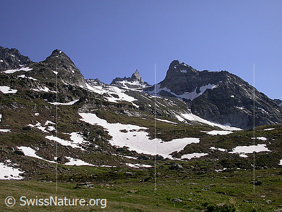 Foto: Berglandschaft bei Balme. Gipfel: Bochtehorn - Kleines Schinhorn - Seewischhorn