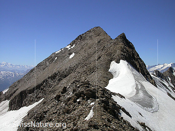 Foto: Auf dem E-Grat des Turbhorn.