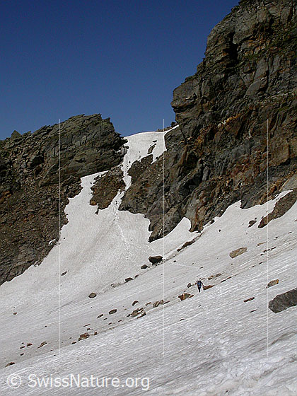 Foto: Im Aufstieg zum Ofenhorn. E-Seite der Eggerscharte.