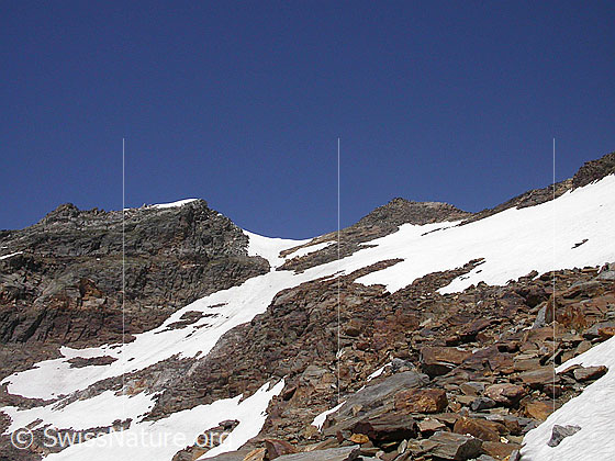 Foto: Im Abstieg vom Ofenhorn. Blick aus der S-Flanke zum Gipfel.