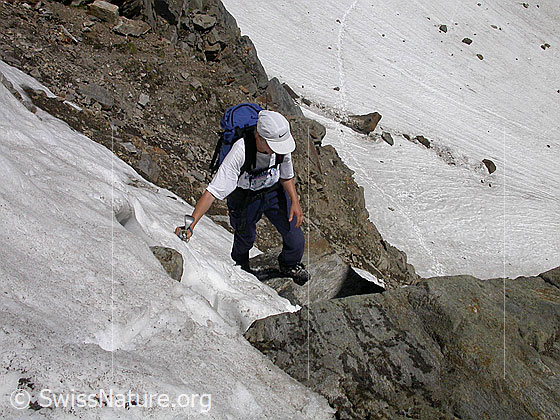 Foto: Alpinistin im Aufstieg zur Eggerscharte (E-Seite)