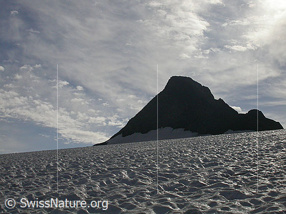 Foto: Blick vom Rappegletscher zur Pyramide des Ober Rappehorn.