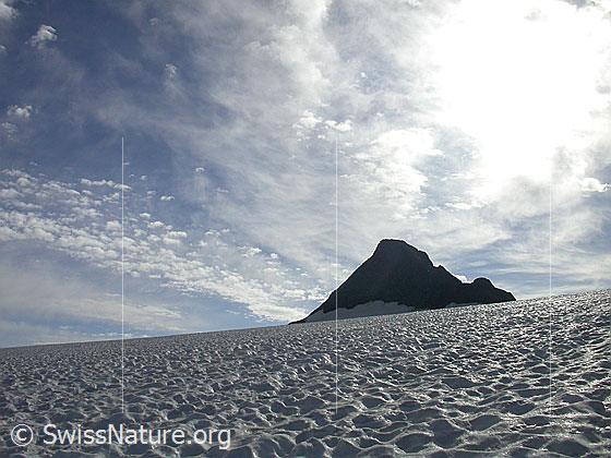 Foto: Blick vom Rappegletscher zur Pyramide des Ober Rappehorn.