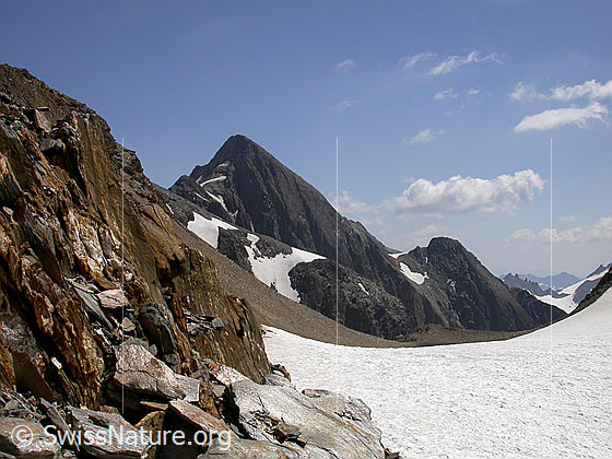 Foto: Turbhorn