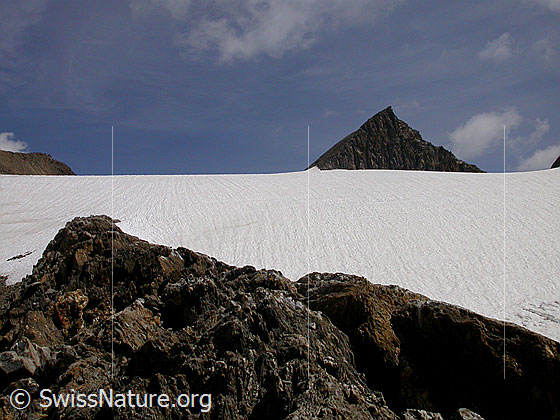 Foto: Feldbachgletscher und Pt. 3124 Turbechepf