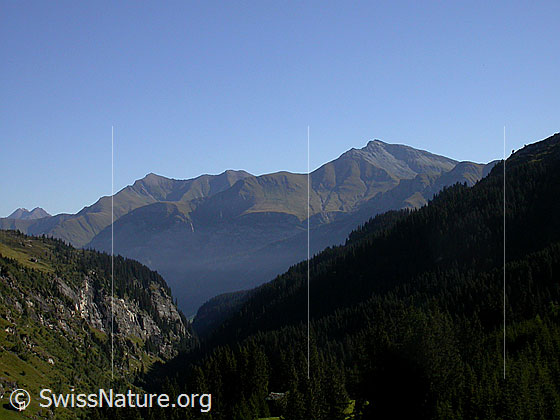Foto: Planggenhorn und Piz Tomül. 
Blick von der Staumauer des Zervreilasee.