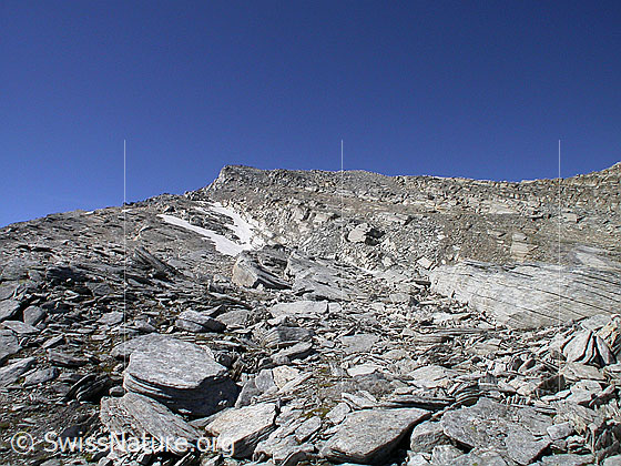 Foto: Gipfel des Frunthorn von E.