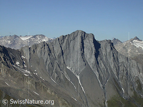 Foto: Piz Terri von ESE (Gipfel Frunthorn).