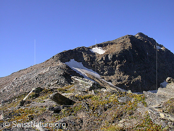 Foto: Fanellgrätli: Blick zum Fanellhorn