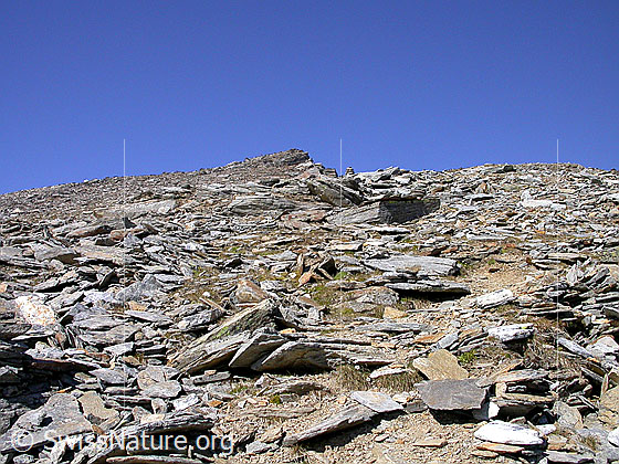 Foto: Im Aufstieg zum Fanellhorn: Blick zum Gipfel.