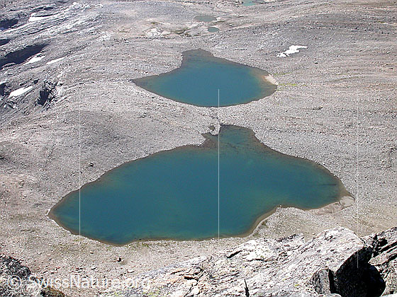 Foto: Gipfel Fanellhorn: Tiefblick auf 2 der 3 Bergseen zwischen Fanellhorn und Fanellgletscher.