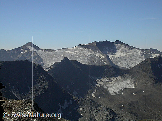 Foto: Aussicht Fanellhorn: Zapporthorn, Piz de Stabi und Rheinquellhorn.