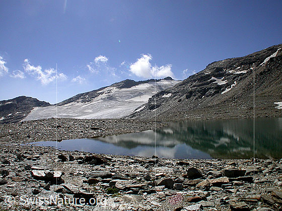 Foto: Seen südlich des Fanellhorn: Blick über den zweiten See Richtung Lorenzhorn, Fanellgletscher und Rotgrätli. Schwache Spiegelung.