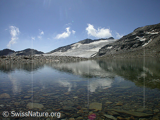 Foto: Seen südlich des Fanellhorn: Blick über den zweiten See Richtung Lorenzhorn, Fanellgletscher und Rotgrätli. Schwache Spiegelung.
