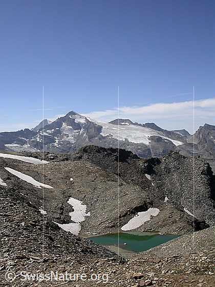 Foto: Westlich der Fanellücke : Blick über Bergsee zu Rheinwaldhorn und Güferhorn.