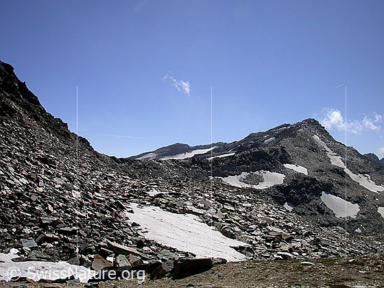 Foto: W-Flanke Fanellhorn: Blick zurück zu Fanellücke und Rotgrättli.