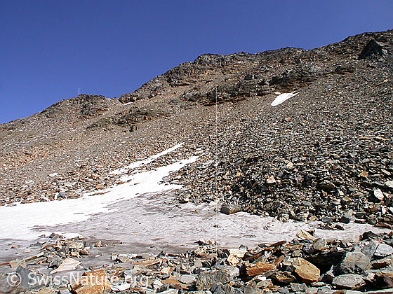 Foto: W-Flanke des Fanellhorn