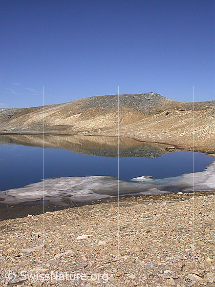 Foto: Am Fuss der W-Flanke des Fanellhorn: Dunkler Bergsee in einmaliger Umgebung. Mit Spiegelung.