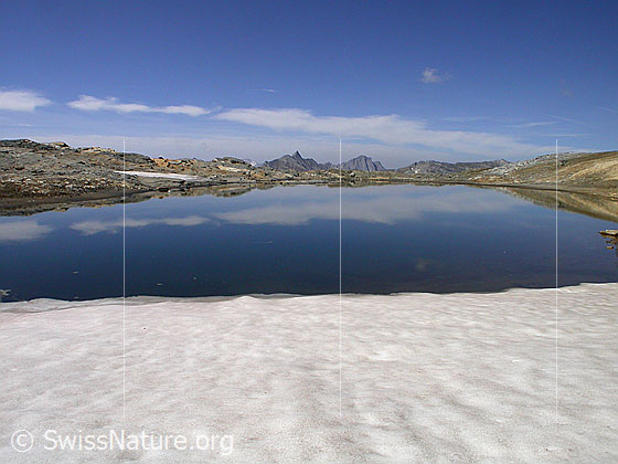 Foto: Dunkler Bergsee am Fuss der W-Flanke des Fanellhorn: Blick über den See Richtung NNW. Spiegelung. Im Hintergund der Piz Terri. Im Vordergrund Schnee.