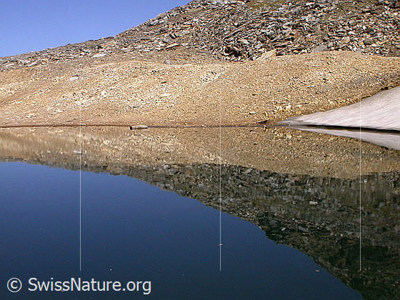 Foto: Dunkler Bergsee am Fuss der W-Flanke des Fanellhorn: Spiegelung.