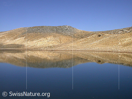 Foto: Dunkler Bergsee am Fuss der W-Flanke des Fanellhorn: Spiegelung.