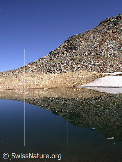 Foto: Dunkler Bergsee am Fuss der W-Flanke des Fanellhorn: Spiegelung.