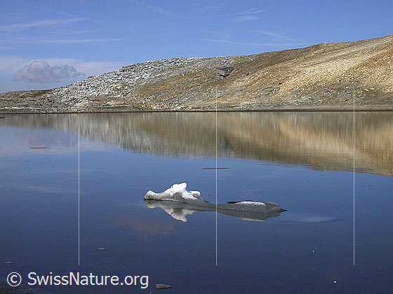 Foto: Dunkler Bergsee am Fuss der W-Flanke des Fanellhorn: Spiegelung mit kleiner Eisscholle.