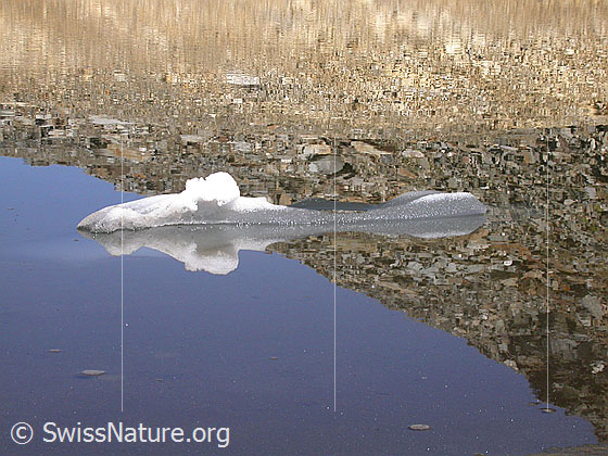 Foto: Dunkler Bergsee am Fuss der W-Flanke des Fanellhorn: Spiegelung mit kleiner Eisscholle.