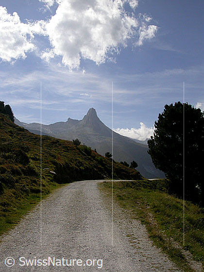Foto: Zervreilahorn