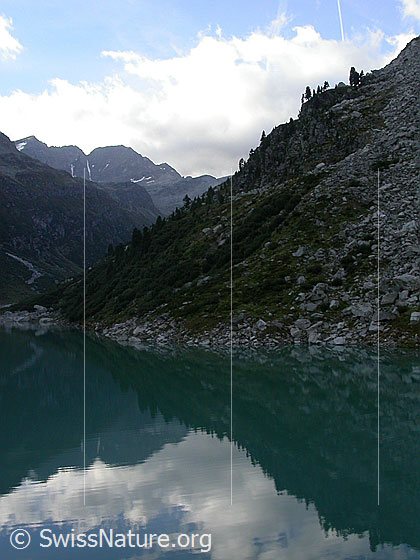 Foto: Spiegelung im Zervreilasee.