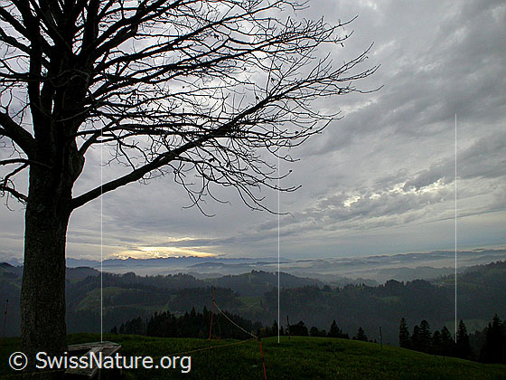 Foto: Herbstliche Stimmung über dem Emmental. Im Hintergrund die Stockhornkette.