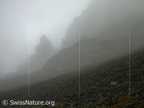Foto: Im Aufstieg zum Hohgant: Konturen von Felstürmen im Nebel.