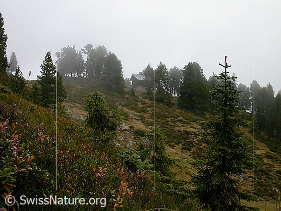 Foto: Hohganthütte in herbstlicher Umgebung.