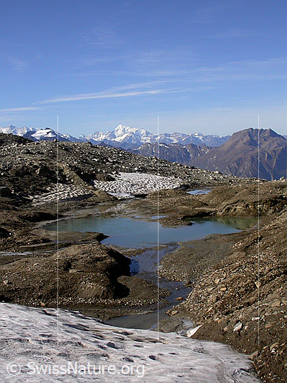 Foto: Blick vom Gletscher über die die kleine Schwemmebene bei Pt. 2630 Richtung Walliser Alpen. Im Vordergrund ein kleiner See, in welchen der Rest des Gletschers mündet.