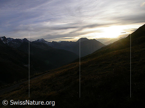 Foto: Abendstimmung über dem Binntal. Aufname von der Wyssi.