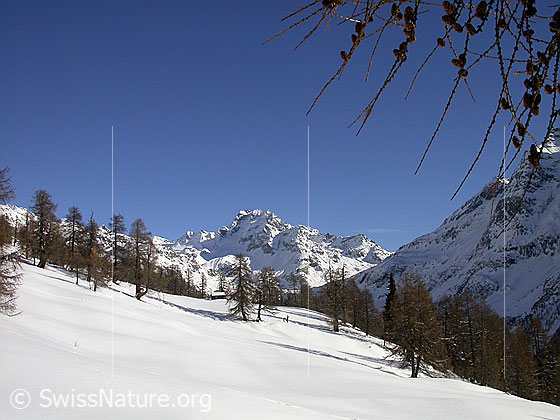 Foto: Hanschbiel, im Hintergrund das Ofenhorn.