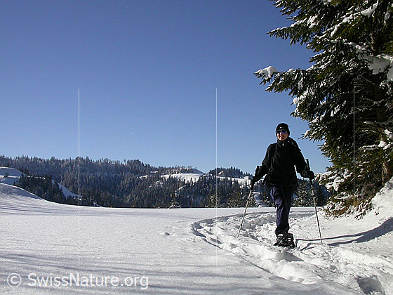 Foto: Schneeschuläuferin unterwegs in Winterlandschaft.