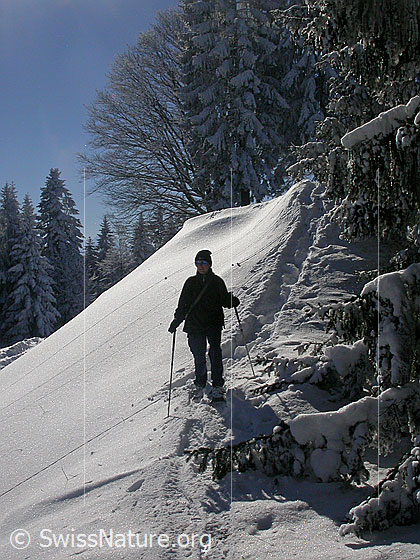 Foto: Schneeschuhläuferin unterwegs in verschneiter Emmentaler Winterlandschaft.